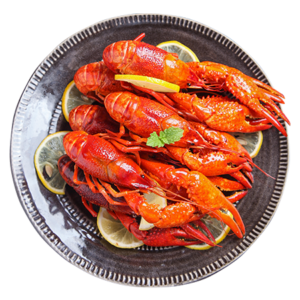 Crustaceans Lobsters